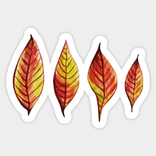 Four Red Yellow Watercolor Painted Autumn Leaves Sticker